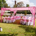 Canopy Tent 17 By 17 Ft 1