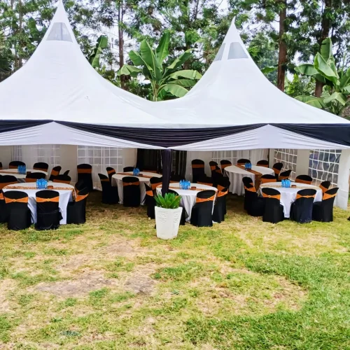 Normal 100 Sitter Tent Draped Size 17 By 34 Ft